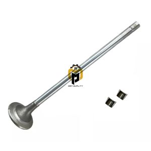 Intake Valve Kit  3800636