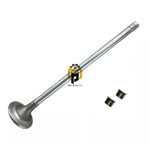 Intake Valve Kit  3800636