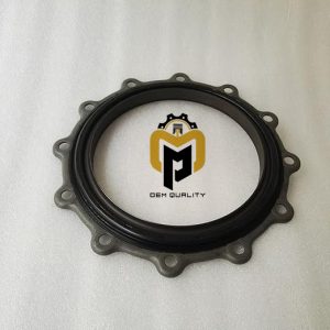 Rear Oil Seal M11 4023018